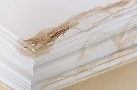 New Orleans Roof Leak Detection Big Easy Roofing