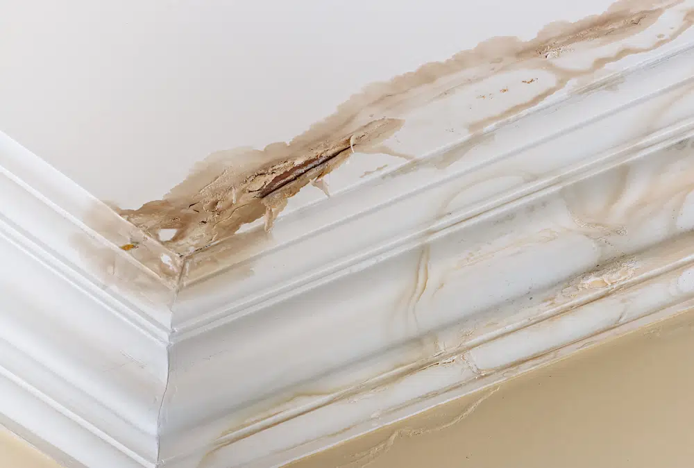 New Orleans Roof Leak Detection Big Easy Roofing