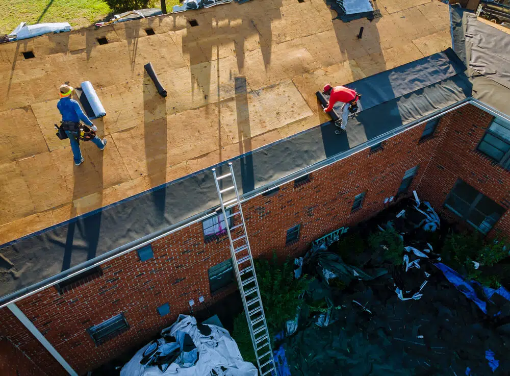 Roof Replacement