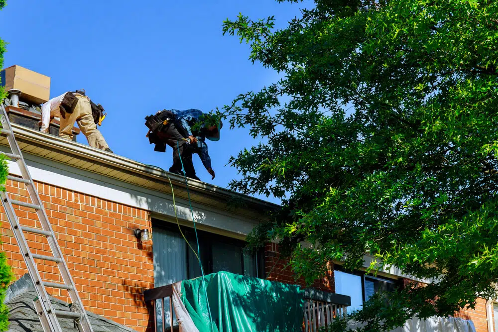 Roof Replacement Service