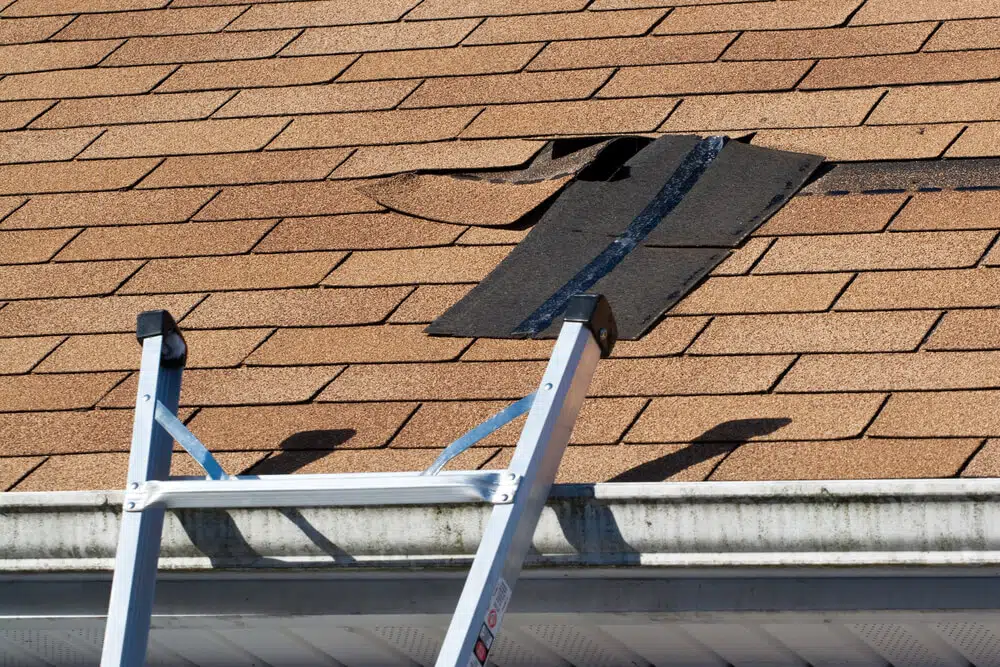 Damaged Roof