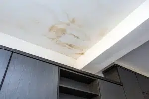 roof with leaks