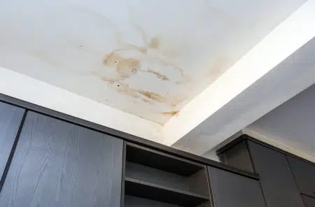 roof with leaks