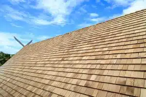 Cedar Shake Roof in New Orleans