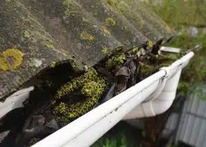 Clogged Gutters