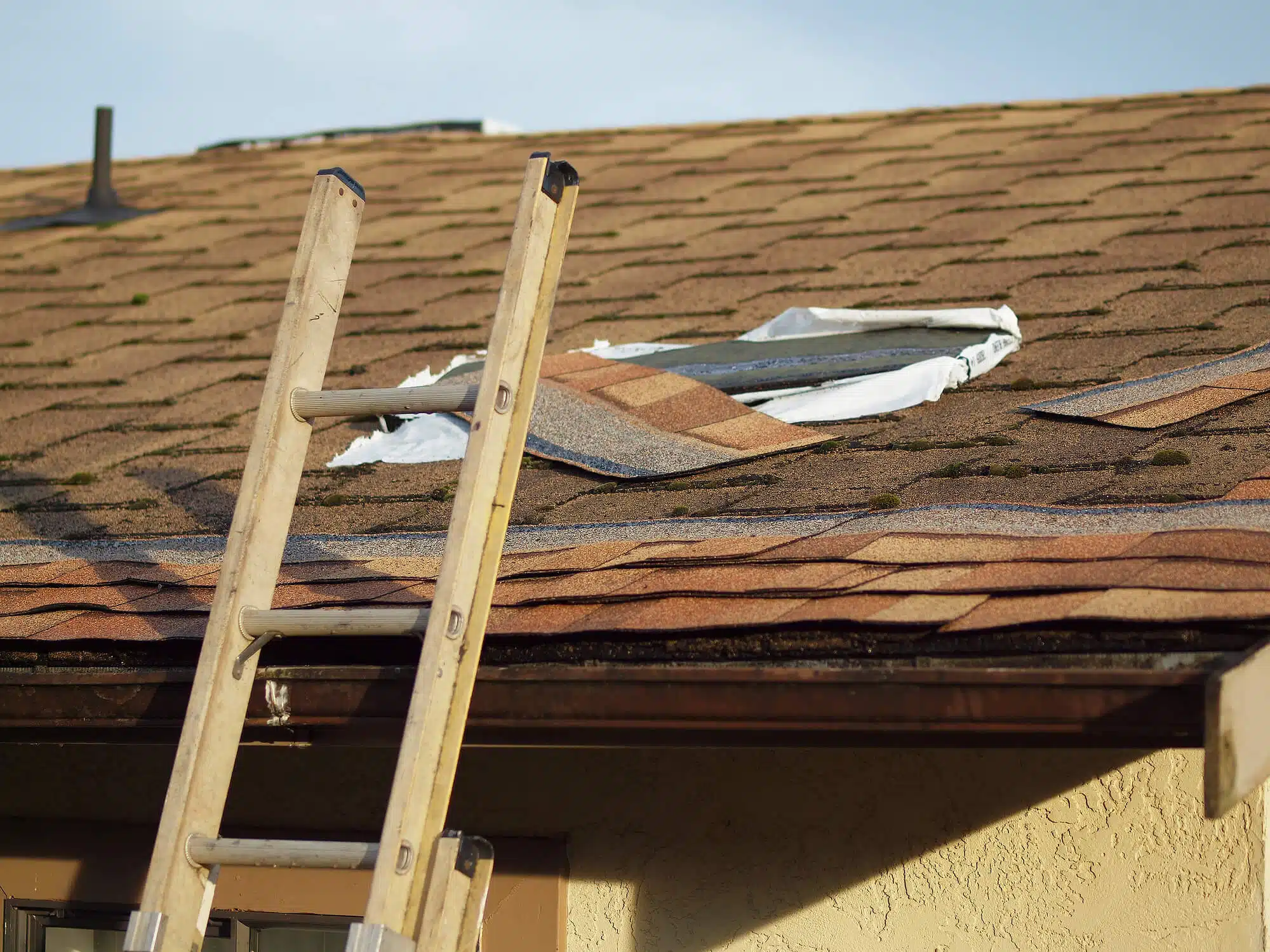 damaged roof in need of roof repair