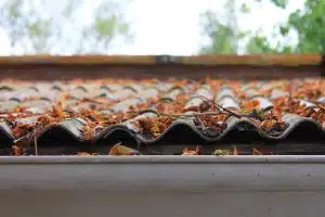 roof full of debris