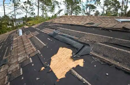 roof shingles -Big Easy Roofing