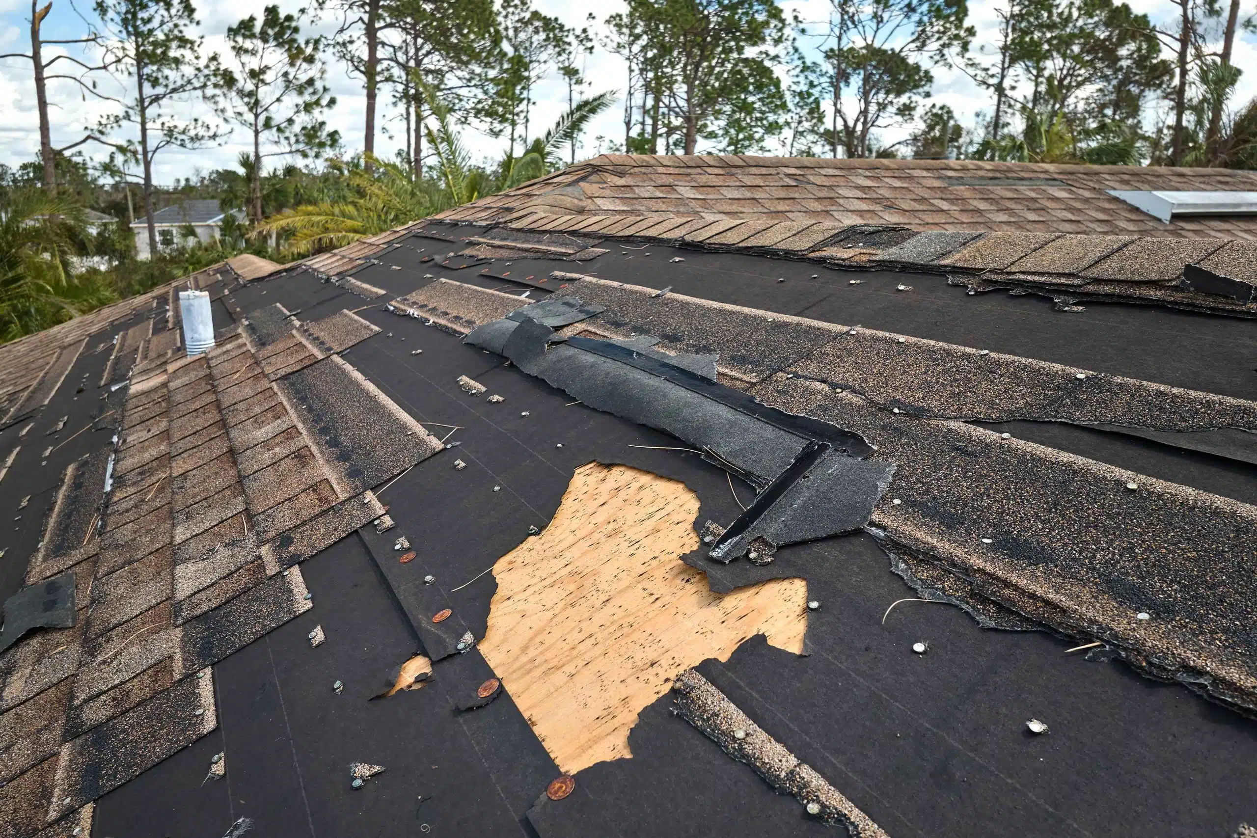 roof shingles -Big Easy Roofing