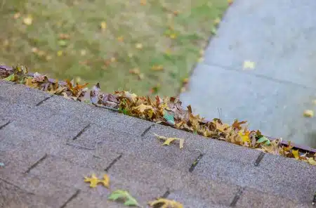 Clogged gutter on a New Orleans Garden District home overflowing with live oak leaves and Spanish moss