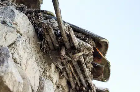 Close-up of rotting fascia board and damaged soffit behind a clogged gutter on a New Orleans home